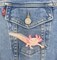 Axolotl Salamander, Realistic Pets, Animals, Embroidered, Iron on Patch